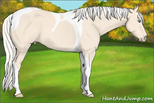 Horse Color: Silver Perlino Tobiano 