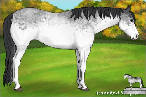 Horse Color: White Spotted Blue Roan 