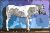 Horse Color:Grullo Ice Tobiano