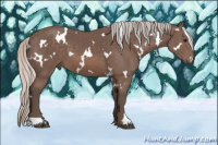 Horse Color:White Spotted Silver Brown 