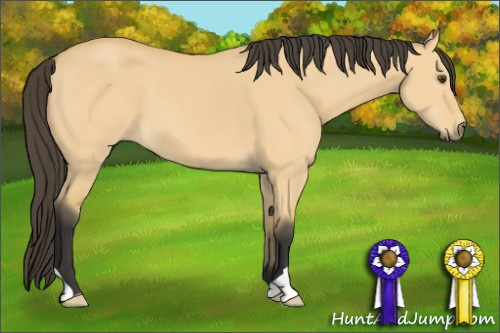 Horse Color: Buckskin Dun 