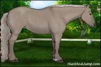 Horse Color:Silver Grullo 