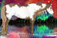 Horse Color:Chocolate Palomino Frame 