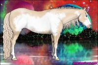 Horse Color:Palomino Pearl Sabino Frame 