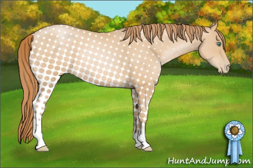 Horse Color: Smoky Black Pearl Sabino 