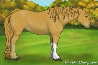 Horse Color:Watercolor Chestnut 