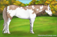 Horse Color:White Spotted Black Pearl Splash Frame