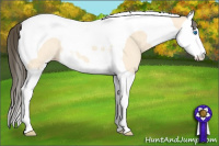 Horse Color:Amber Cream Champagne Dun Sabino Splash Tobiano Rabicano