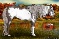 Horse Color:Silver Black Frame 