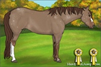 Horse Color:Liver Red Dun 