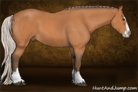 Horse Color:Silver Bay Roan Splash 