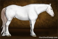 Horse Color:White Spotted Chestnut Varnish 