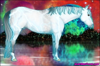 Horse Color:Gray Thunderstruck Brown 