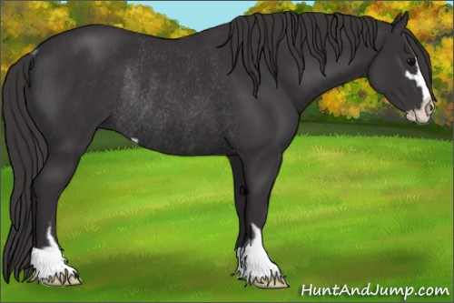 Horse Color: Smoky Black Sabino Rabicano 