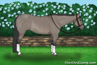 Horse Color:Grullo Sabino Rabicano