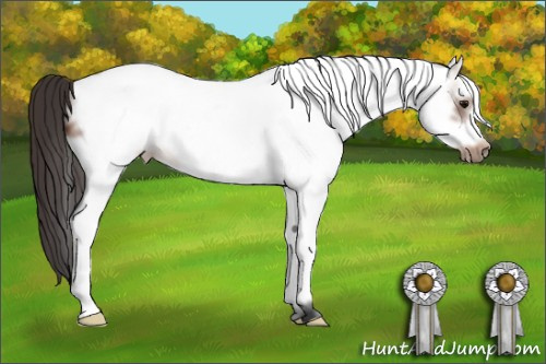 Horse Color: White Spotted Bay Frame 
