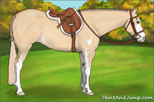 Horse Color: Palomino Dun Sabino 