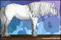 Horse Color:Gray Smoky Black Ice Brindle