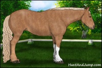 Horse Color:Chestnut  Brindle