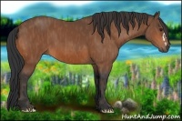 Horse Color:Bay  Brindle