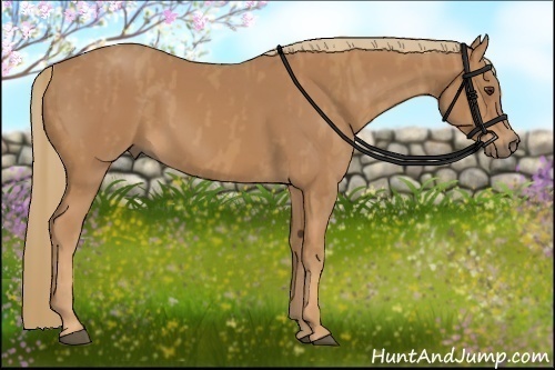 Horse Color: Chestnut  Brindle