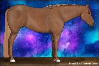 Horse Color:Chestnut Brindle