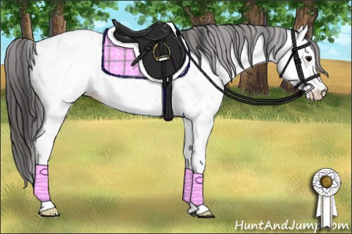 Horse Color: White Spotted Brown Near Leopard 