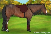 Horse Color:Bay  Brindle