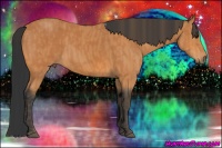 Horse Color:Bay  Brindle