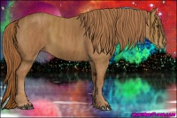 Horse Color:Chestnut  Brindle