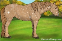 Horse Color:Chestnut  Brindle