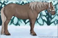 Horse Color:Silver Blue Roan 