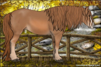 Horse Color:Chestnut Splash 