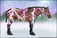 Horse Color:Bay  Brindle