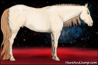 Horse Color:Buckskin Pearl Dun  Brindle