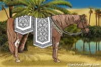 Horse Color:Chestnut Tobiano Brindle