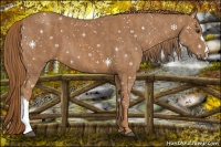 Horse Color:Chestnut  Brindle