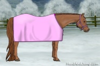 Horse Color:Chestnut  Brindle