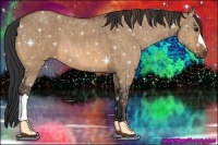 Horse Color:Bay Dun  Brindle