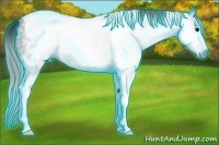 Horse Color:Gray Thunderstruck Smoky Black Tobiano 