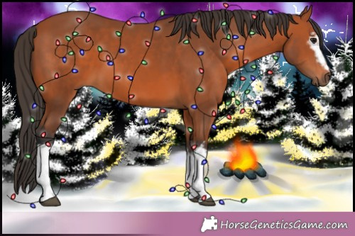 Horse Color: White Spotted Bay 