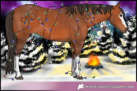 Horse Color:White Spotted Bay 