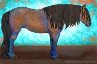 Horse Color:Bay  Brindle