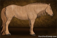 Horse Color:Red Roan  Brindle