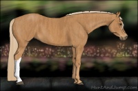 Horse Color:Chestnut Brindle