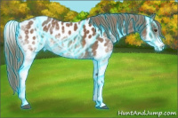 Horse Color:Thunderstruck White Spotted Chestnut Appaloosa 