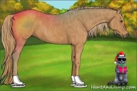 Horse Color:Chestnut  Brindle