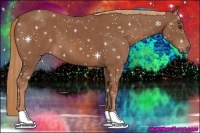 Horse Color:Chestnut  Brindle