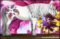 Horse Color:Gray Buckskin  Brindle