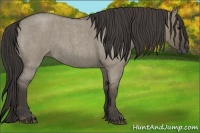 Horse Color:Smoky Grullo Roan 